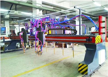 Tipo fiamma del cavalletto CNC5-5000X14000 della striscia della Multi-testa e tagliatrice del plasma 9+1+1